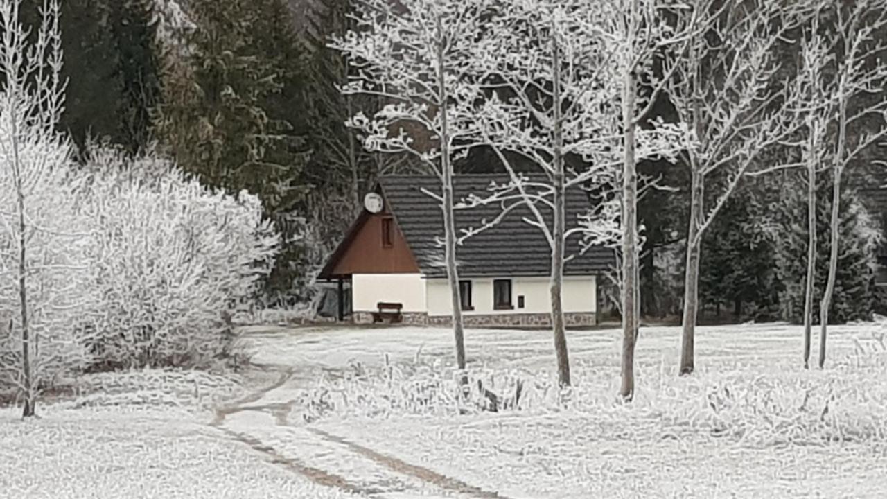 Pocitniska Hisa Taler Βίλα Bohinj Εξωτερικό φωτογραφία